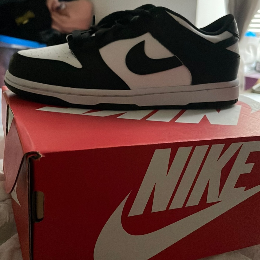 Black and white Nike dunks low top brand new kid size 1.5.